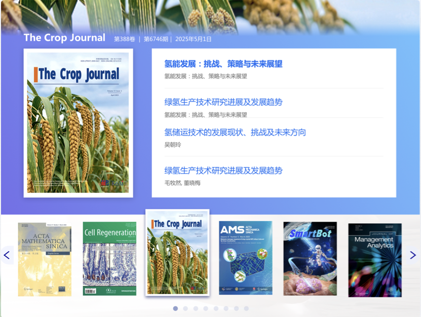 科協(xié)期刊官網(wǎng)設(shè)計(jì) 學(xué)術(shù)科協(xié)網(wǎng)站設(shè)計(jì) 期刊門戶網(wǎng)站設(shè)計(jì) 中國(guó)科協(xié) 中英文網(wǎng)站設(shè)計(jì)