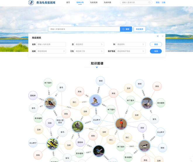 青海鳥(niǎo)類資源庫(kù)網(wǎng)站交互及UI設(shè)計(jì)